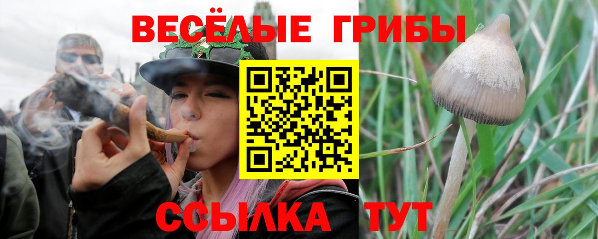 ГАШИШ Пугачёв