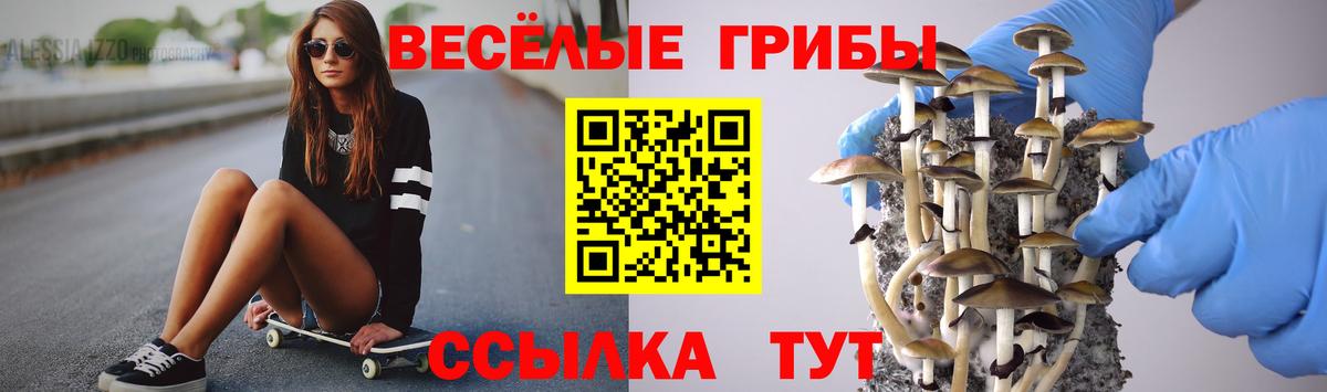 Галлюциногенные грибы мухоморы  Вход с VPN  Галлюциногенные грибы мухоморы  Пугачёв 